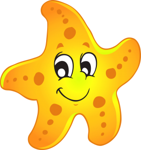 morska-zvezda